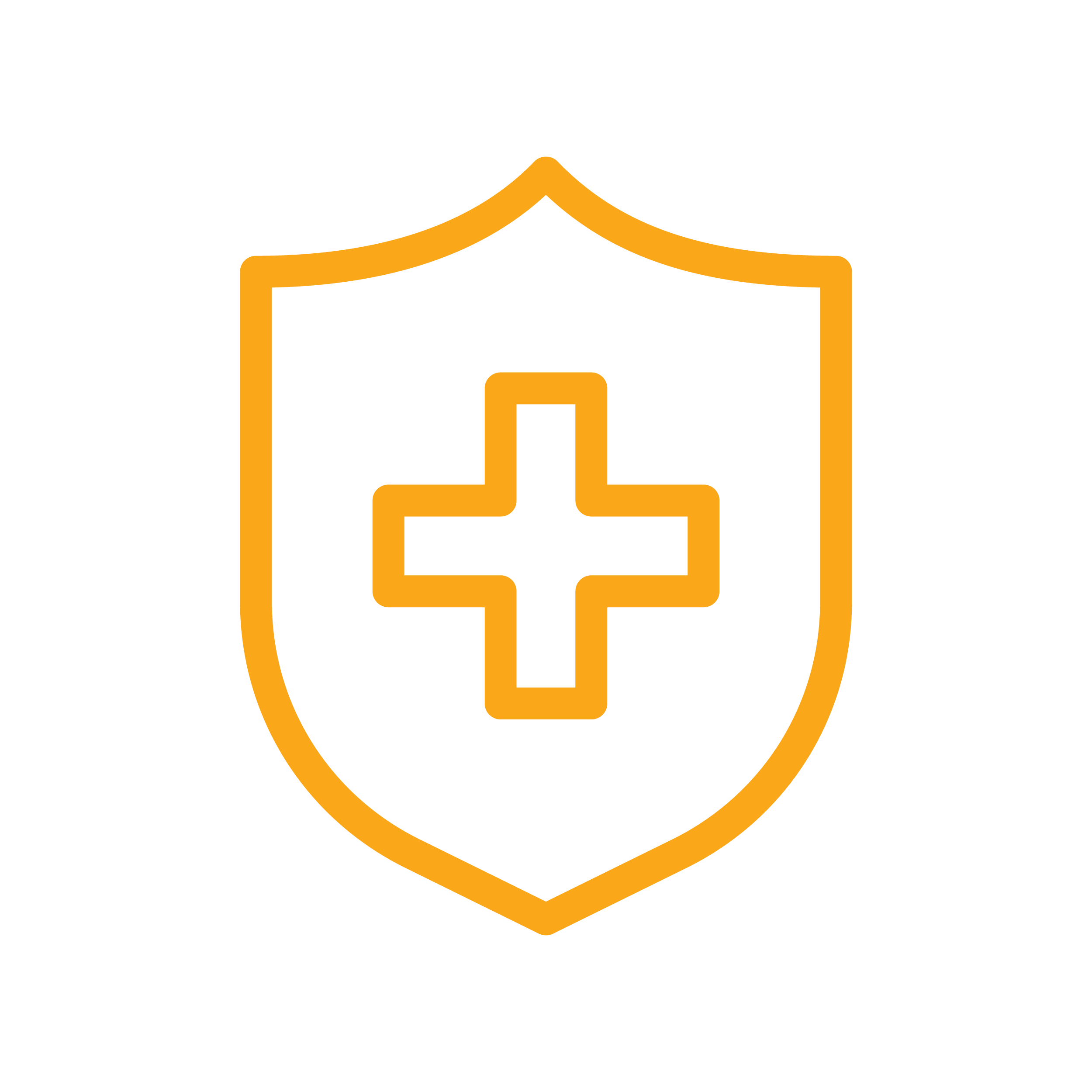 Healthcare shield icon